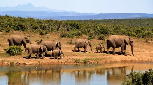 Heerlijk overwinteren in Zuid Afrika