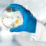 Uitbraak van ESBL en EHEC hebben geleid tot zorgen om veiligheid eten