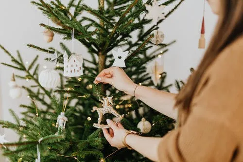 beestjes in de kerstboom