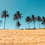 Op zoek naar rust in de vakantie