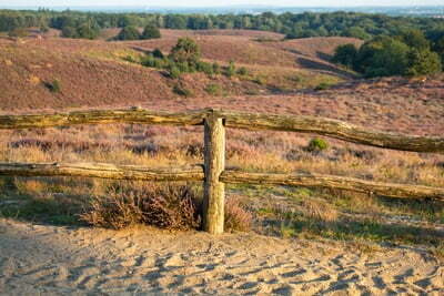 Witte Rolstoelen in NP De Hoge Veluwe