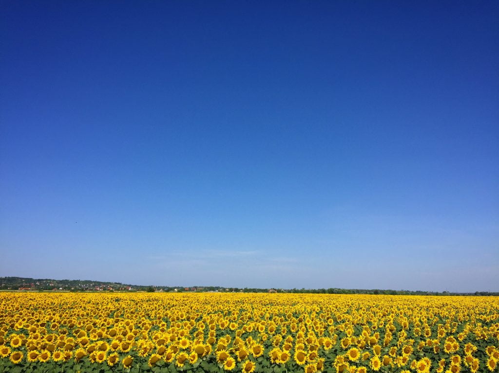 Zomertijd vanaf zaterdag / zondag