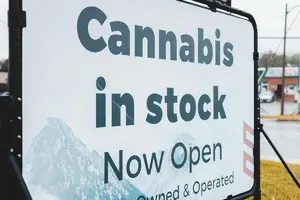 cannabis