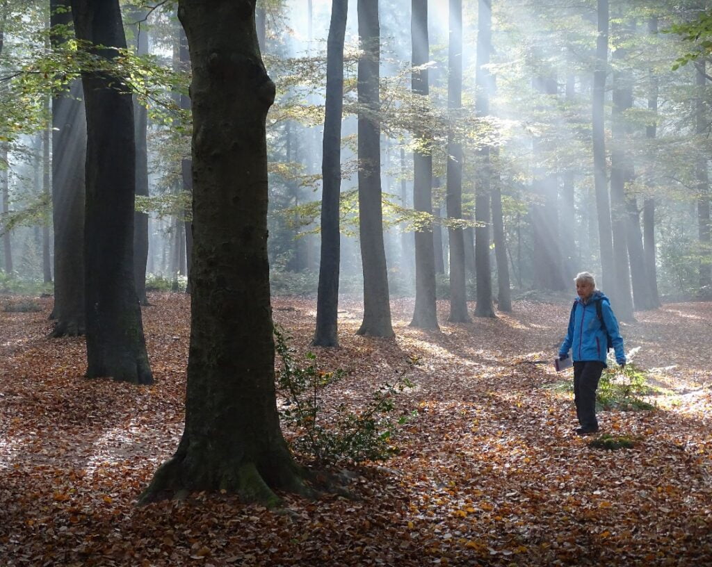 Wat is er te doen op de Fiets en Wandelbeurs