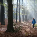 Wat is er te doen op de Fiets en Wandelbeurs