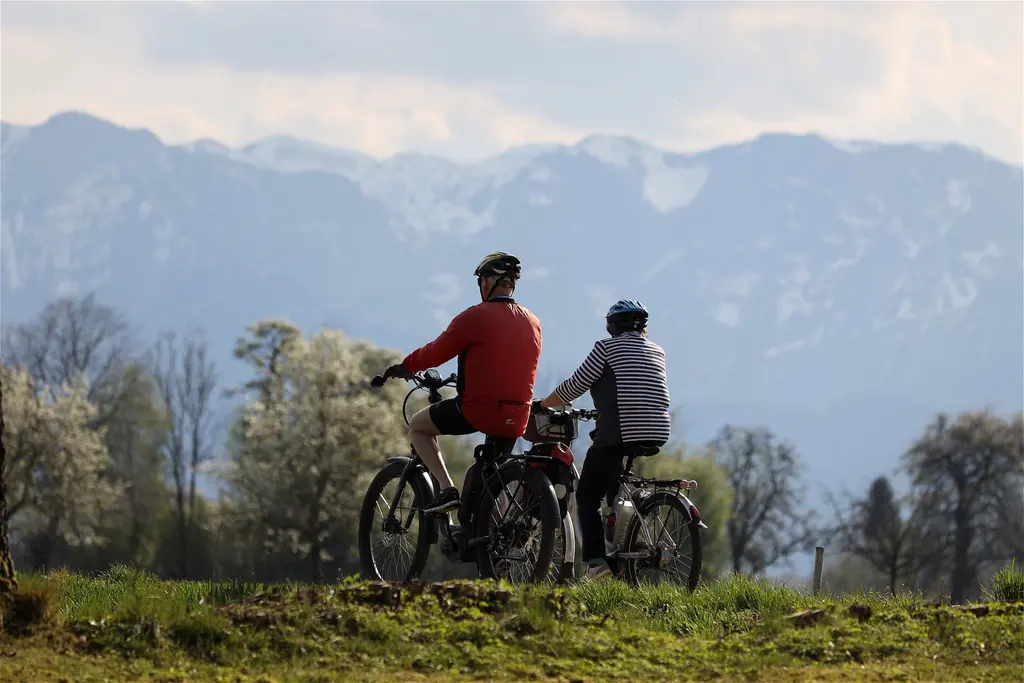Helm voor je e-bike kopen - Let op de volgende punten