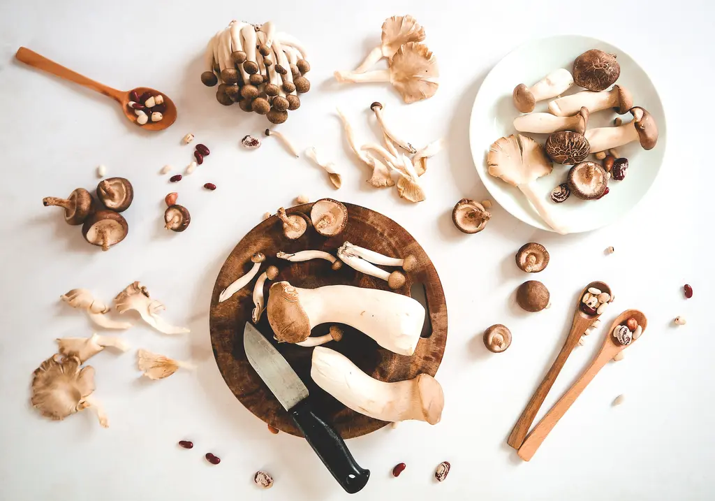 Ontdek de wonderen van eetbare paddenstoelen: een ware schat voor de 50+ generatie