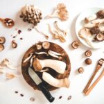 Ontdek de wonderen van eetbare paddenstoelen: een ware schat voor de 50+ generatie
