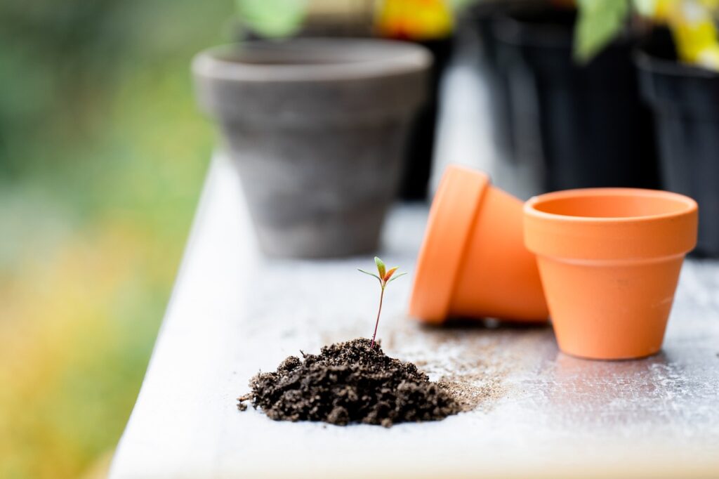 Een onderhoudsvriendelijke maar toch groene tuin creëren