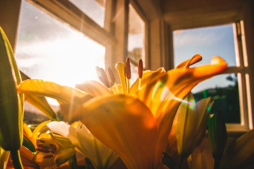 Je huis klaarmaken voor de zomer met de flexibele zonwering